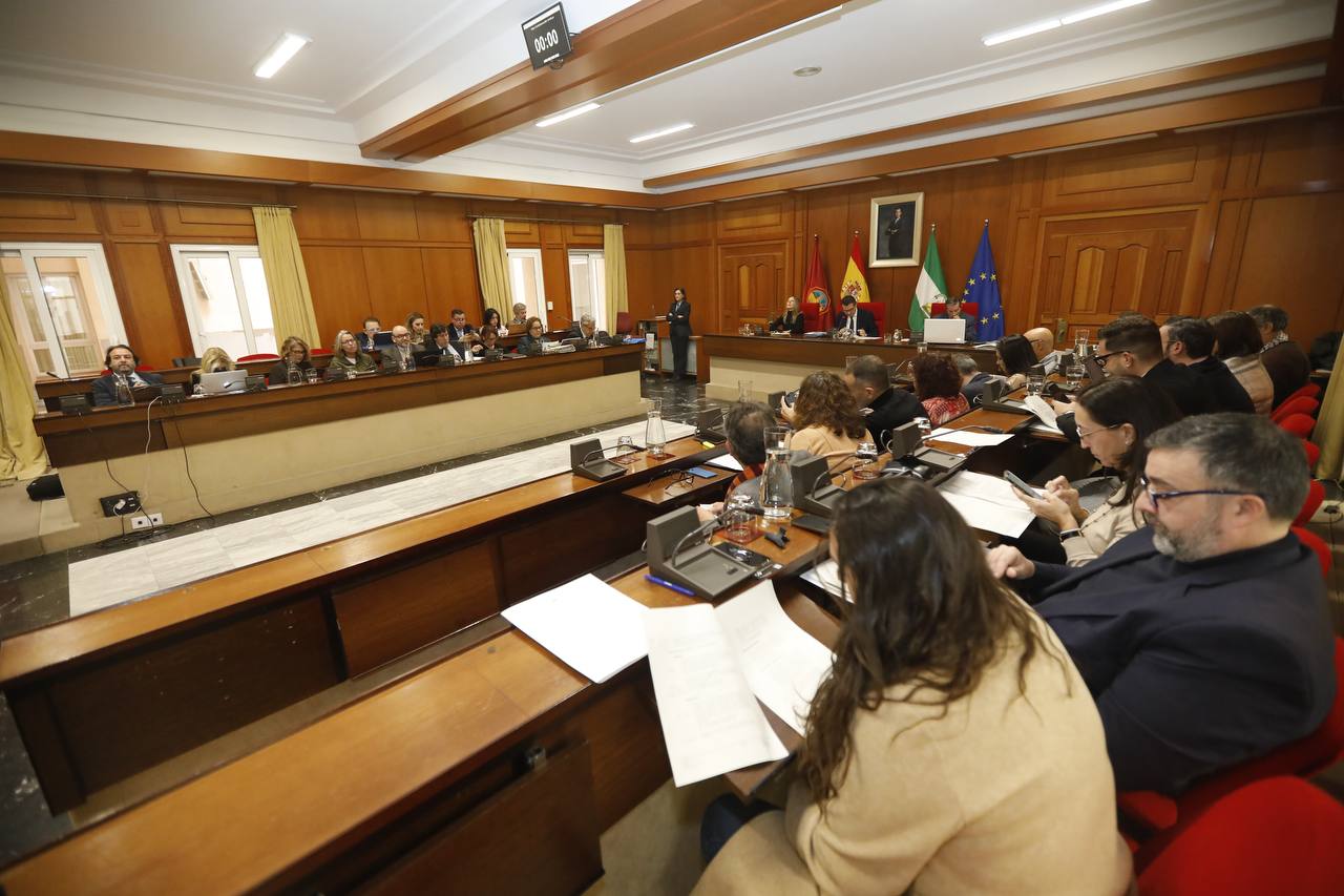 El Pleno Municipal aprobó las ordenanzas fiscales para 2026 (Prensa Ayuntamiento)