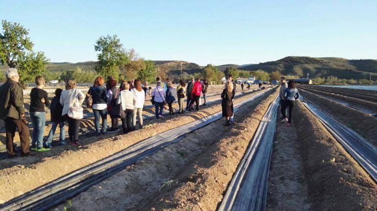 Visita a una de las plantaciones en la anterior edición