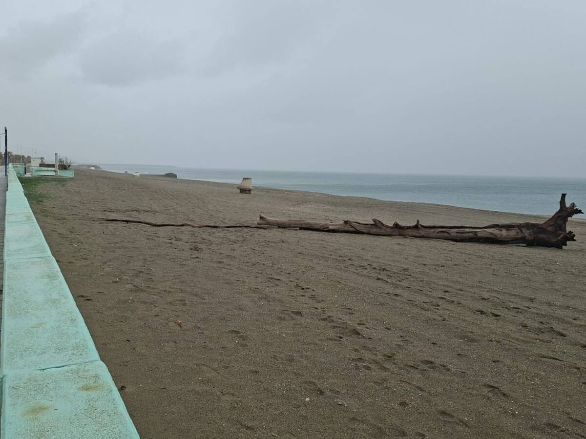 El fuerte temporal de viento y lluvia provoca desperfectos en La Línea