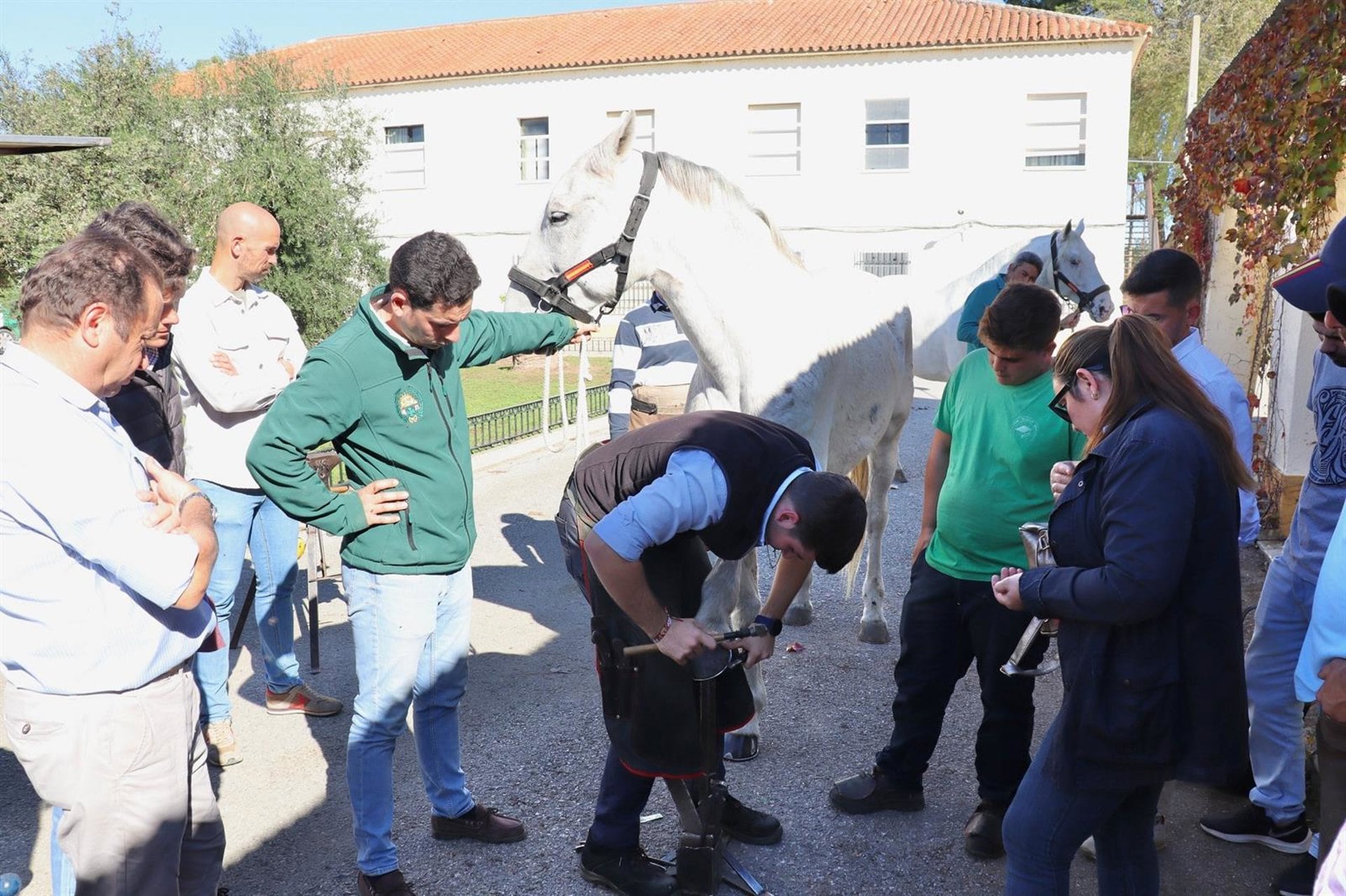 Alumnos de un curso de podología equina en el Ifapa