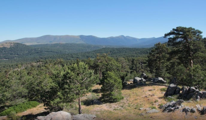 Parque nacional de Guadarrama