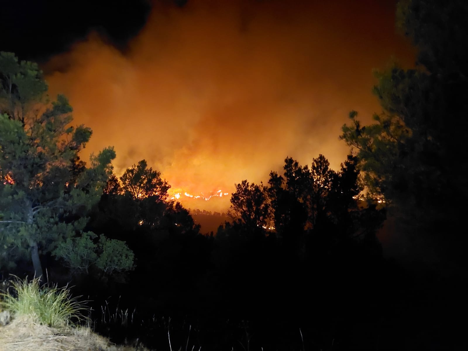 Incendio de Jódar durante esta la madrugada del viernes, 5 de agosto.