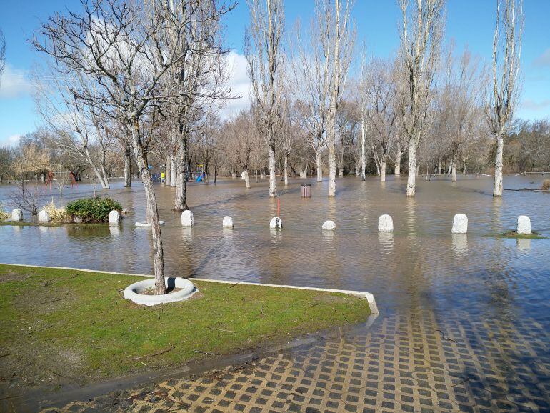 El parque del Soto es el más afectado