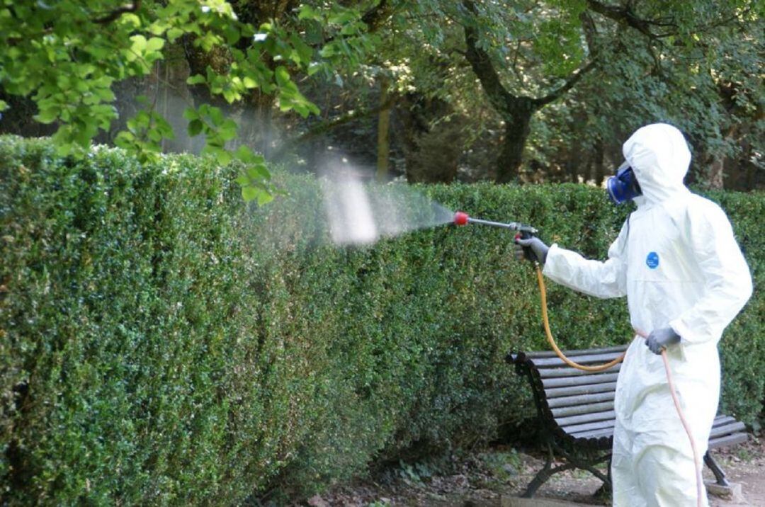 Un tractament anti plaga a Olot