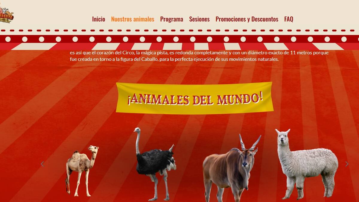 Entrevista a Iván Flores, portavoz de Animalistas Sanse sobre la instalación del circo Zoorprendente