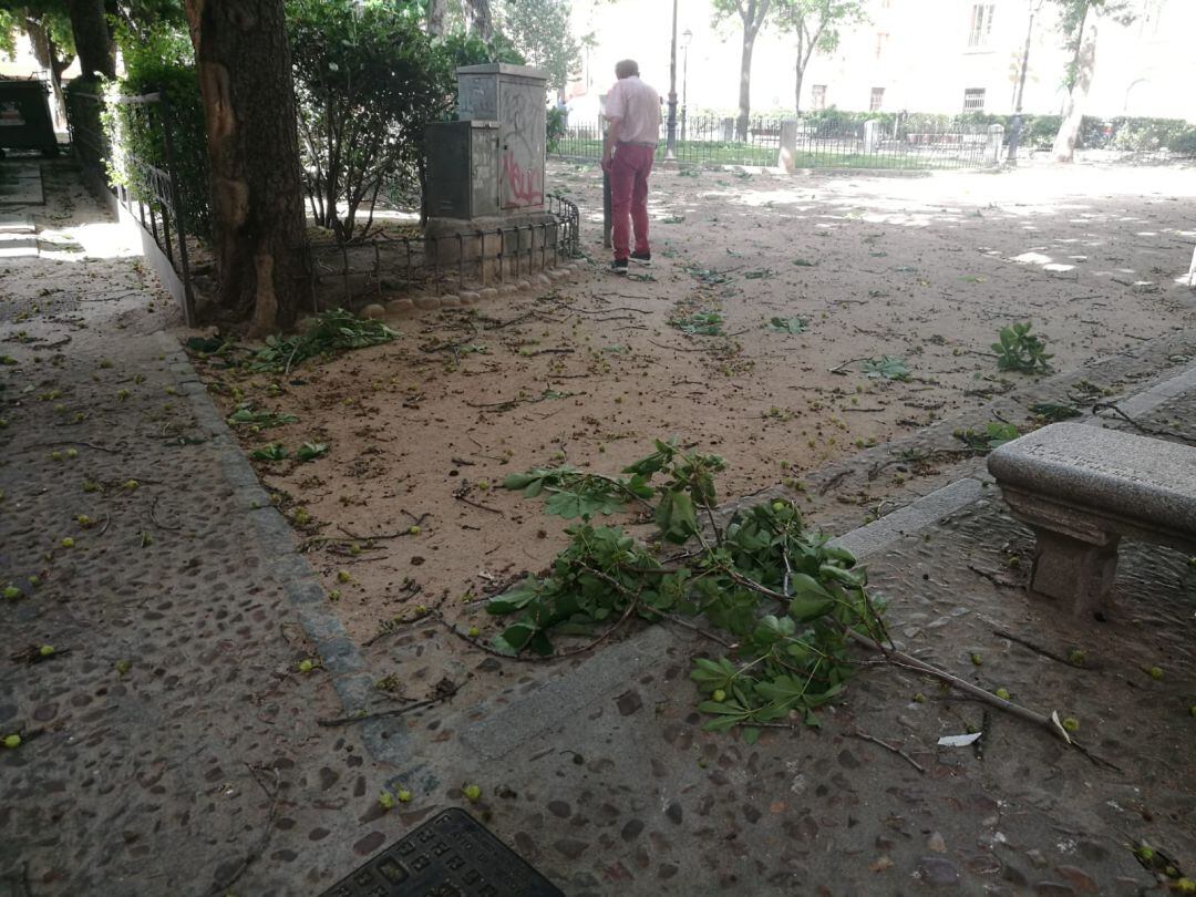 Ramas caidas en la Plaza de Los Huertos, en el centro de la ciudad de Segovia