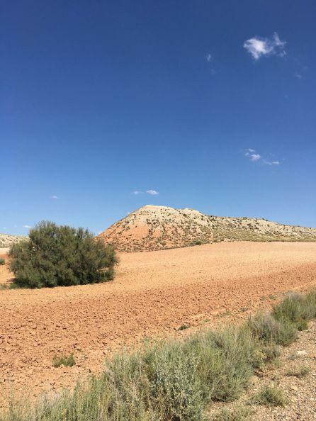 La loma de Cornero, en Quinto, en la actualidad