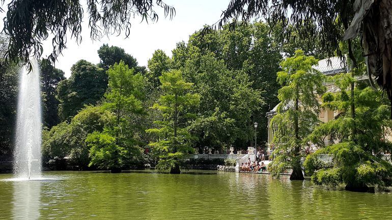 La investigación confirma los beneficios de vivir cerca de las zonas verdes.