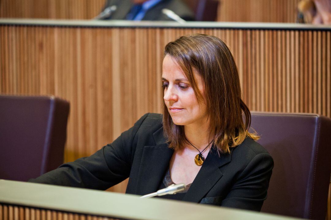 La consellera general socialdemòcrata Rosa Gili