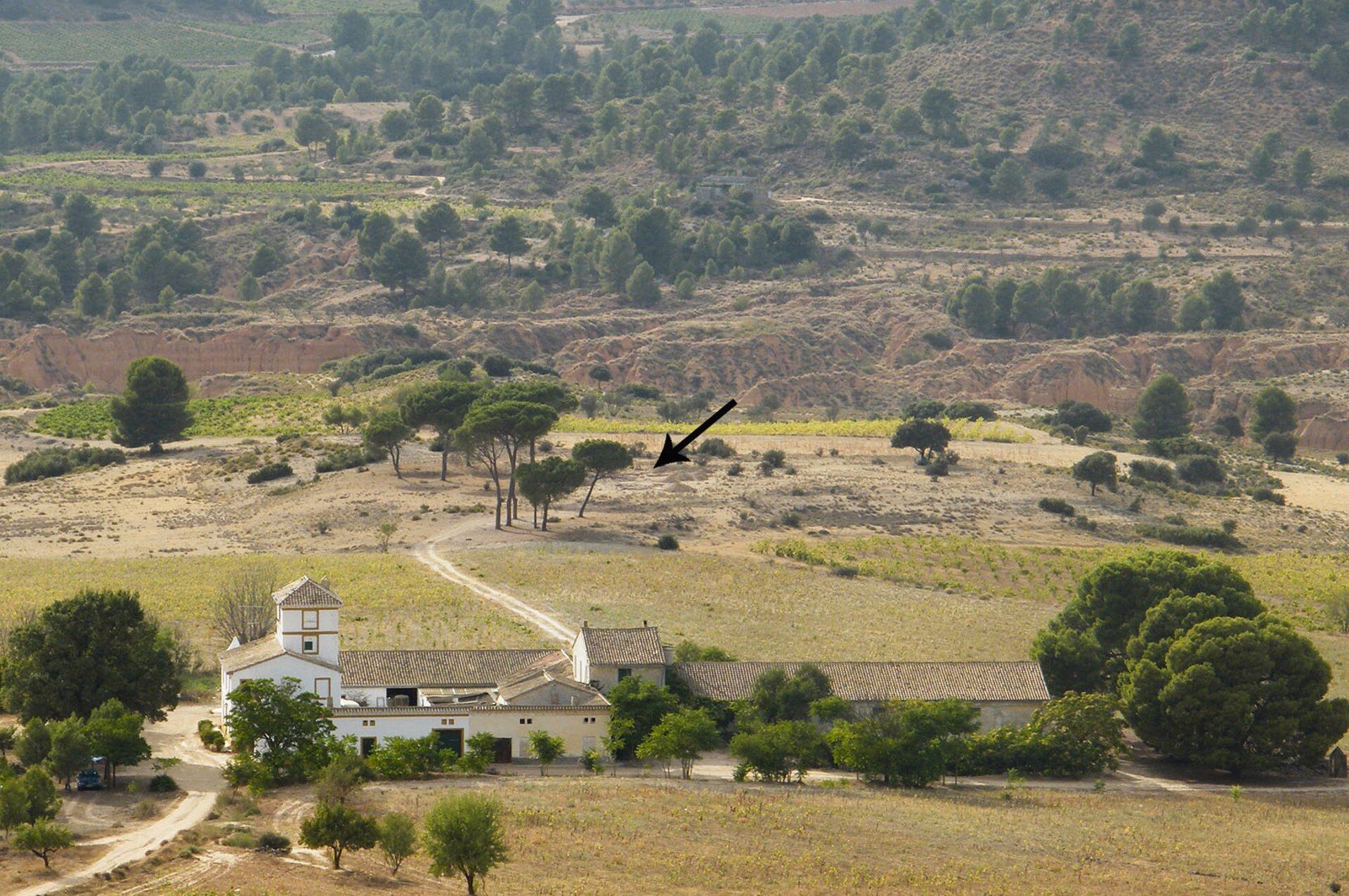 Vista del yacimiento Casa de Cabeza