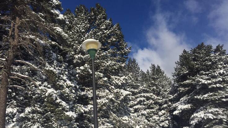 La primera nevada del 2019 (23/1/19)