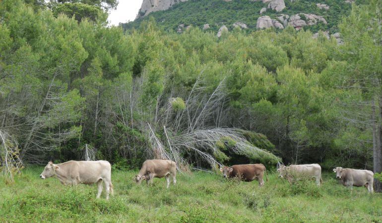 www.fundaciocatalunya-lapedrera.com