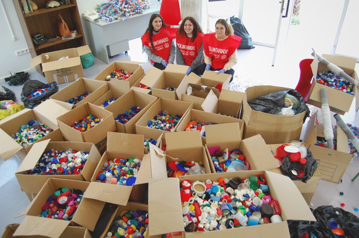 La Universidad de Murcia construye dos árboles de Navidad más de 56.000 tapones de plástico
