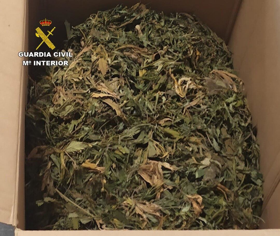 Marihuana incautada por la Guardia Civil 
