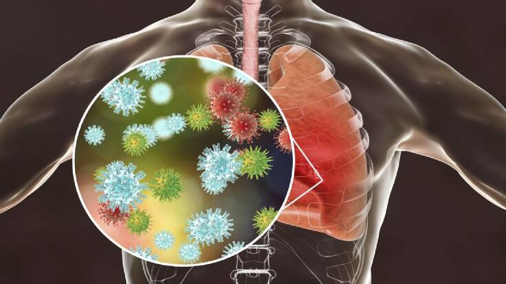 Espècies Protegides (26/02/2020)
