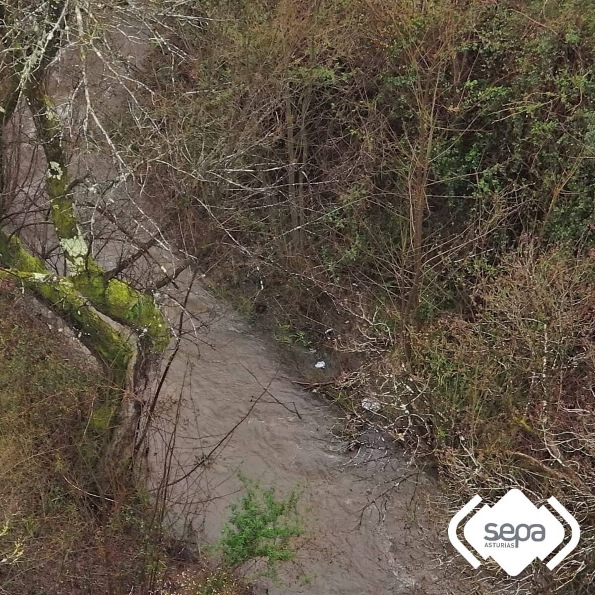 Se reanuda la búsqueda de la mujer que se cayó al río este viernes en San Martín del Rey Aurelio (Asturias)