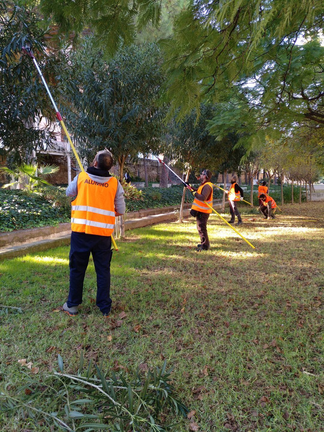 El Ayuntamiento de València oferta cursos de jardinería, arte floral y medio ambiente