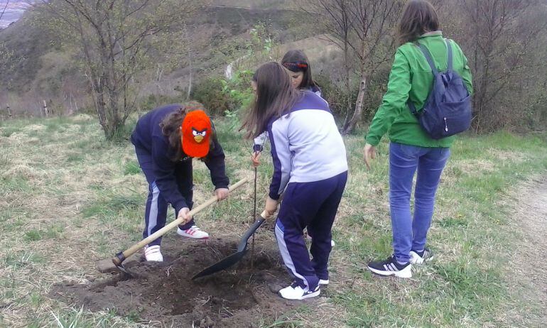 Escolares ovetenses plantan su árbol en el Naranco.