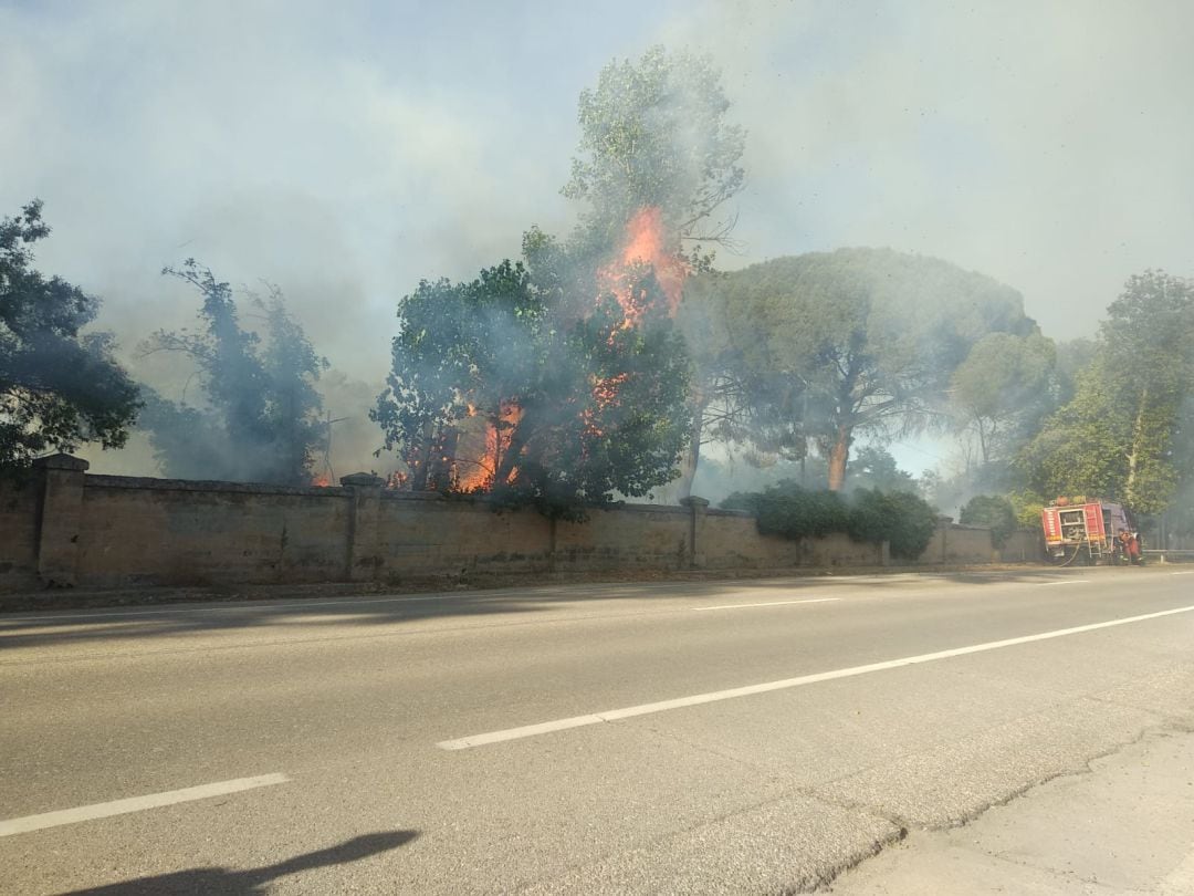 Las llamas alcanzaron unas dimensiones considerables