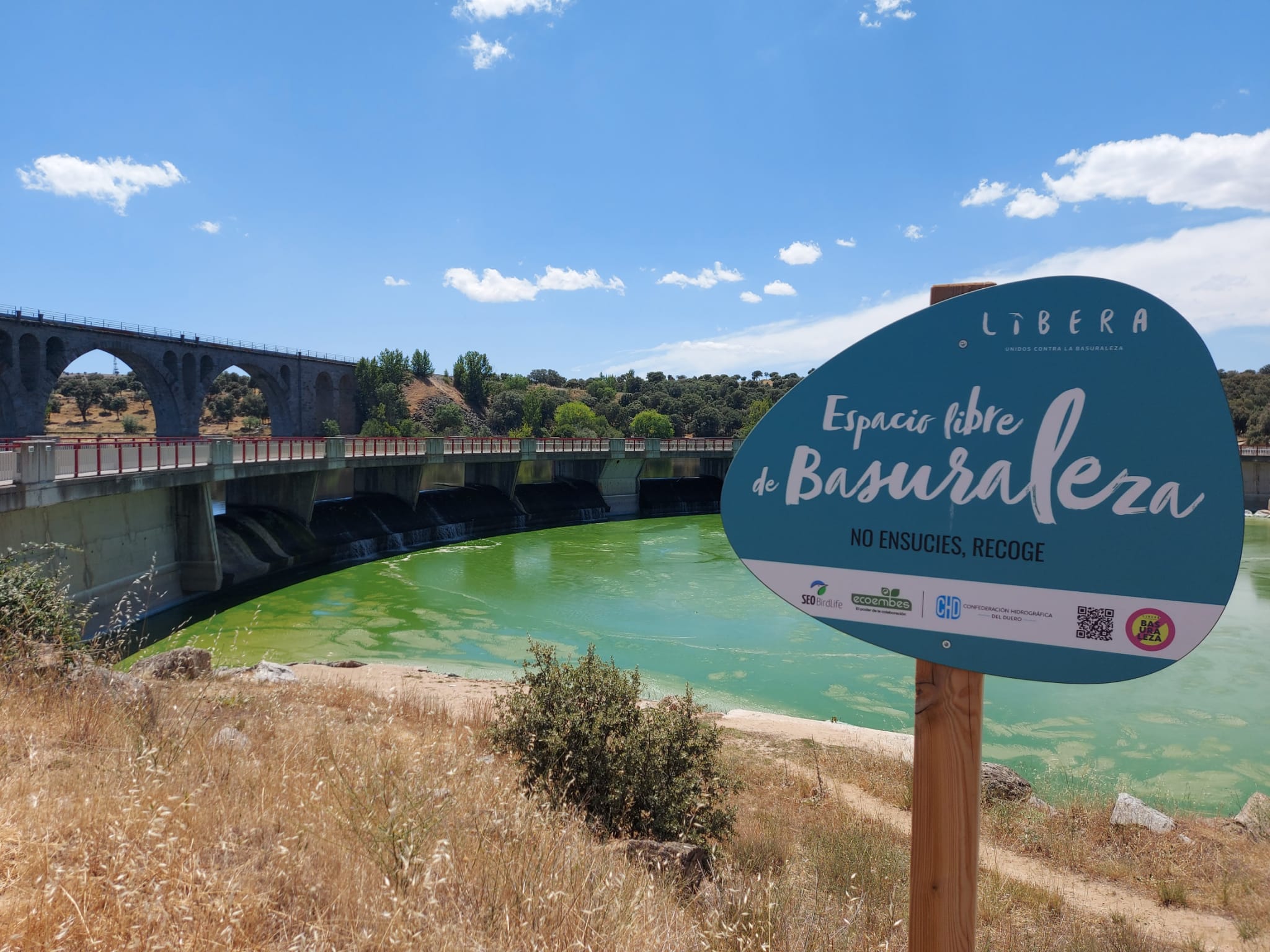 El episodio de aumento de nutrientes puede tener varias causas, en general relacionadas con la acción humana
