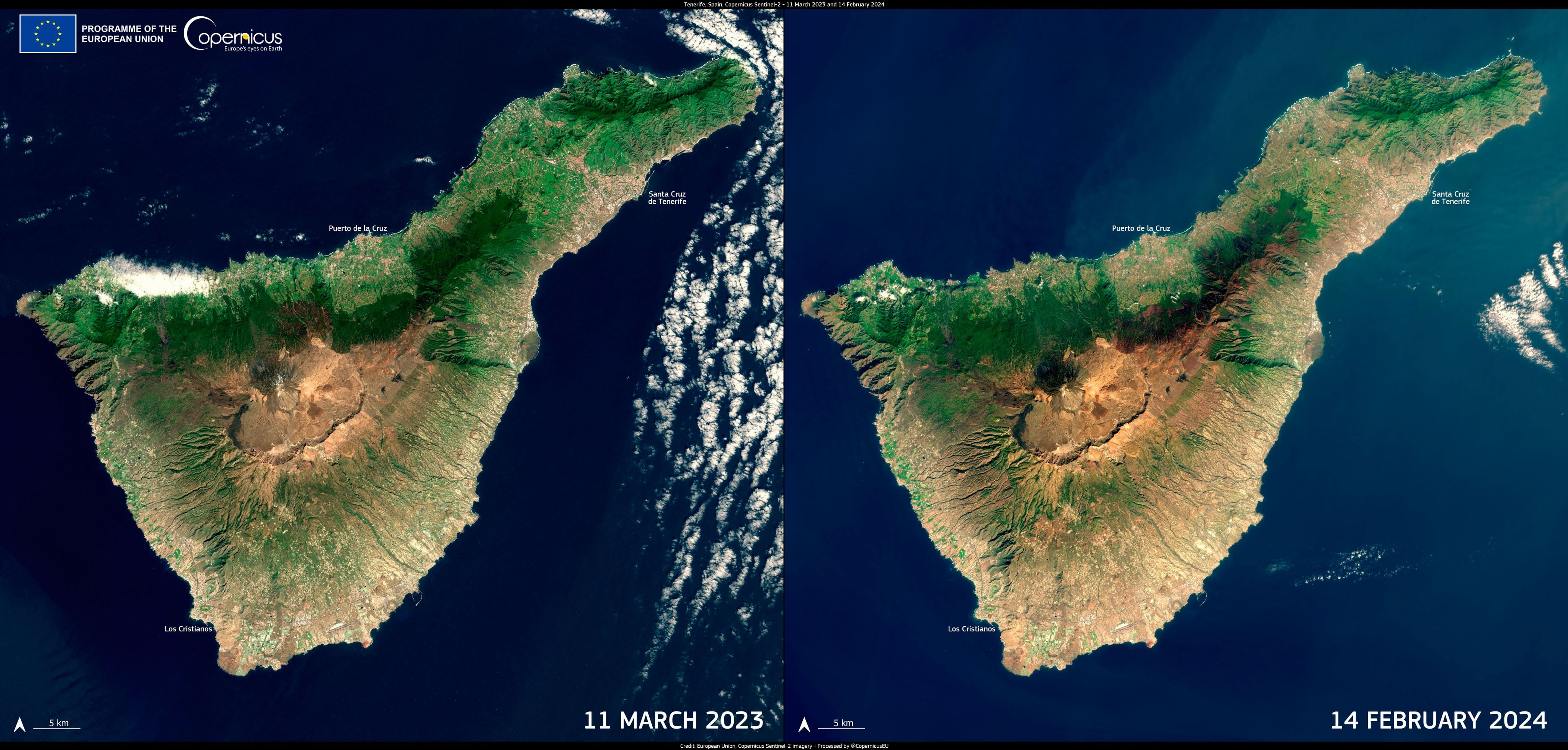 GRAFCAN6131. SANTA CRUZ DE TENERIFE (ESPAÑA), 04/03/2024.- El sistema europeo de satélites Copernicus ha difundido este lunes esta imagen de Tenerife que muestra cómo la cobertura de verde de la isla ha retrocedido en el último año tras uno de los inviernos más secos de su historia, lo que ha llevado a su Cabildo a poner en marcha la declaración de la emergencia hídrica, con medidas de restriciones. EFE/Copernicus / SOLO USO EDITORIAL/SOLO DISPONIBLE PARA ILUSTRAR LA NOTICIA QUE ACOMPAÑA (CRÉDITO OBLIGATORIO)
