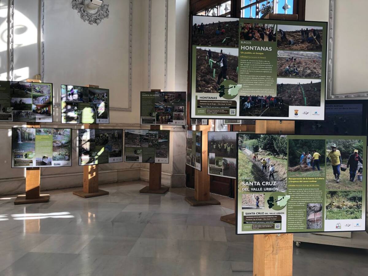 El voluntariado ambiental protagonista en el Palacio Provincial