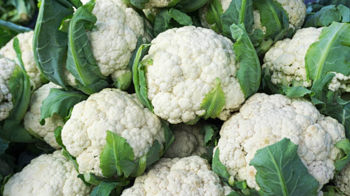 Entrevista con motivo de la fiesta de la coliflor en Griñón con su concejal de Festejos, José María Amor