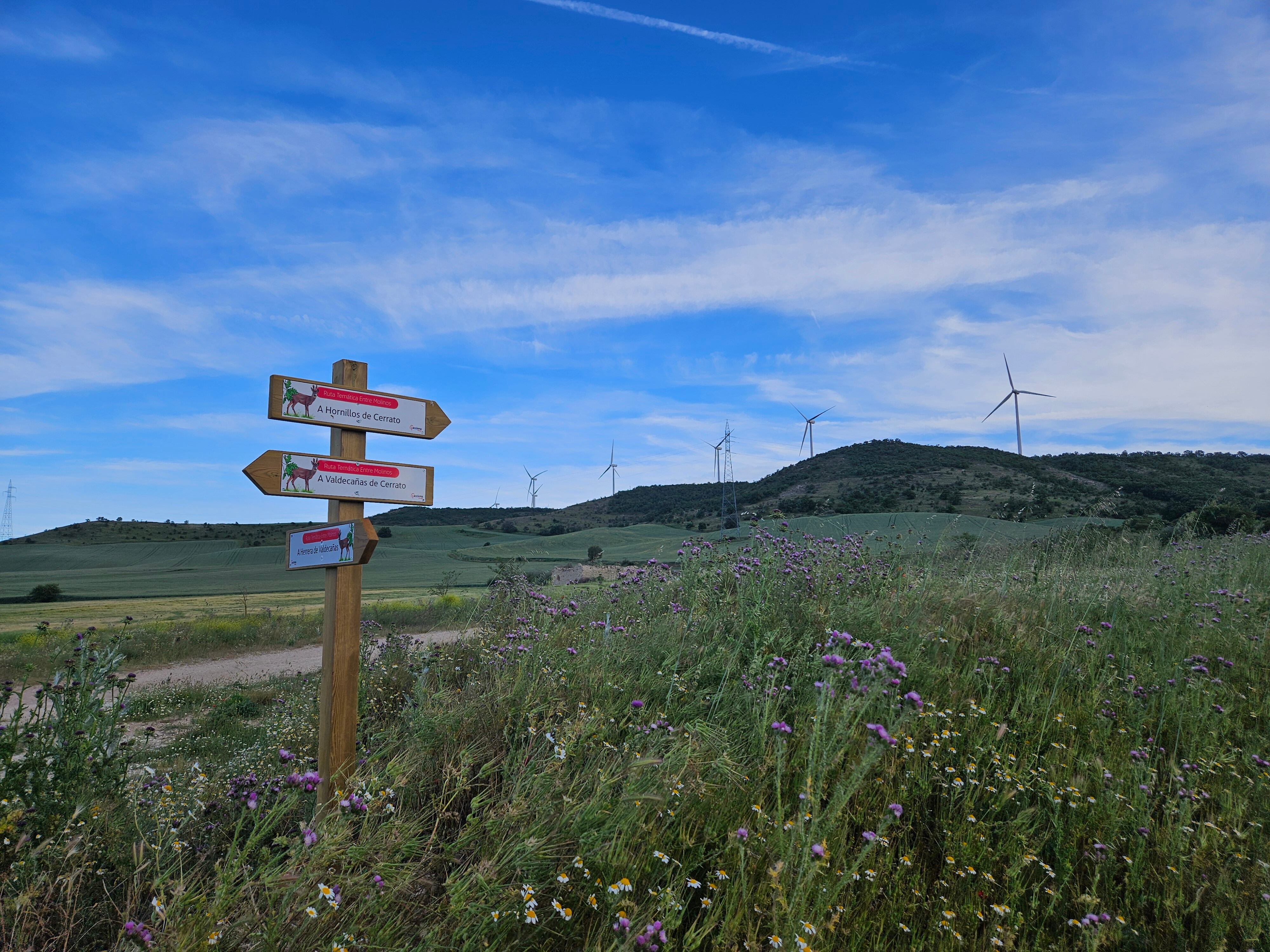 Ruta entre molinos