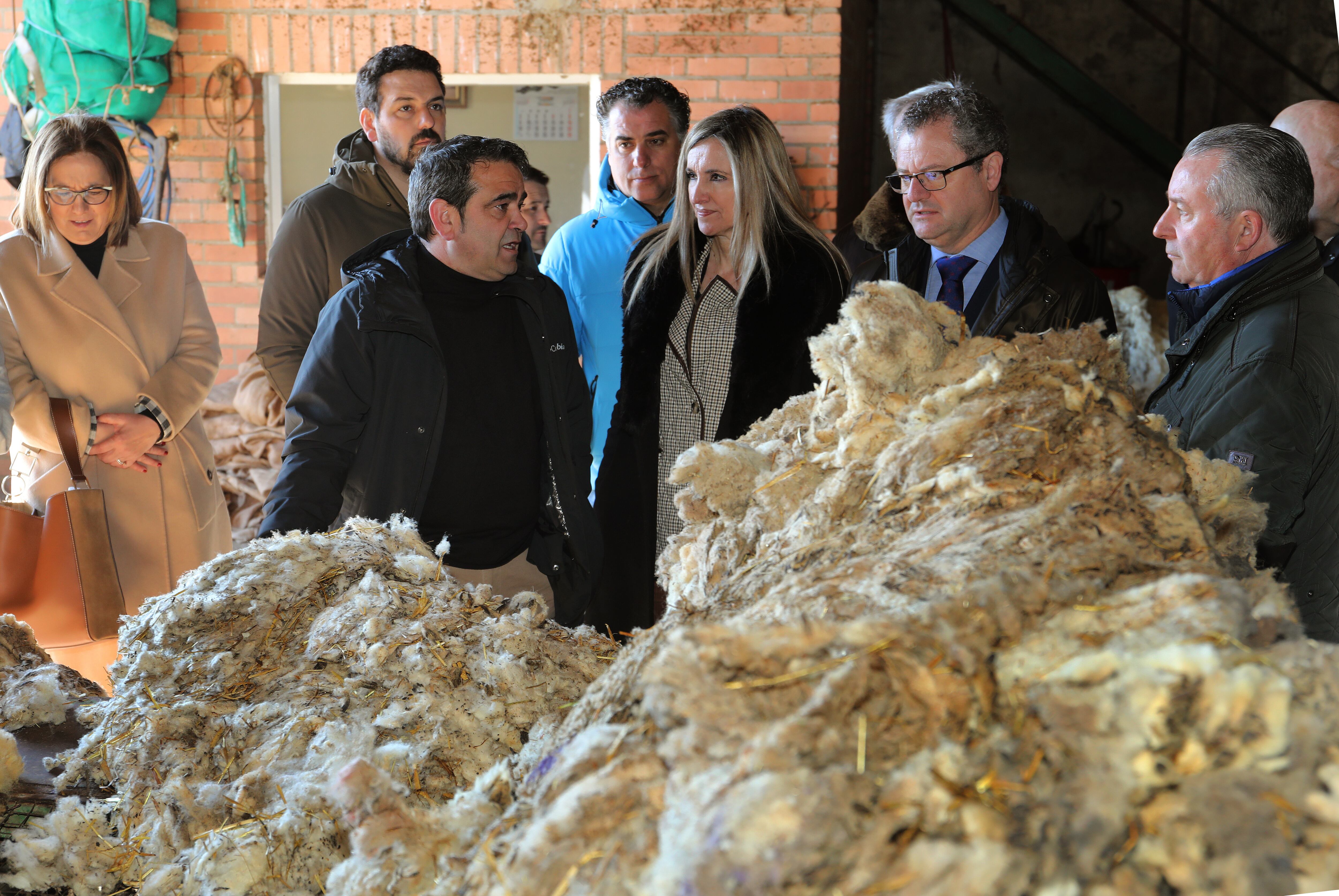 El consejero de Agricultura, Ganadería y Desarrollo Rural de la Junta de Castilla y León, Gerardo Dueñas (2D), visita una planta de tratamiento de lana en la localidad de Paredes de Nava (Palencia), acompañado de presidente de ASAJA, Donaciano Dujo (D), entre otros