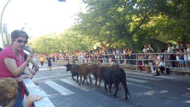 Raquel Gilsanz, concejal de Educación y Desarrollo Económico habla de las actividades culturales con motivo de la festividad de San Miguel