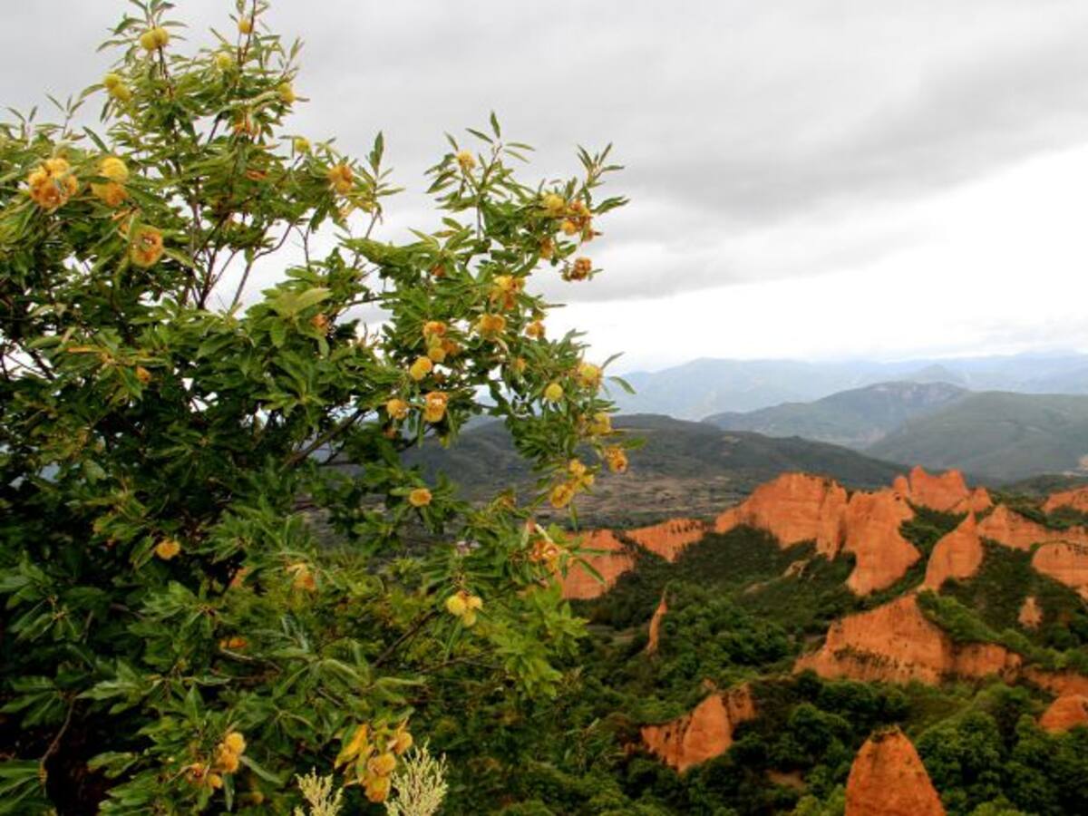 Más calor y menos lluvias de lo habitual en el otoño que comienza este viernes
