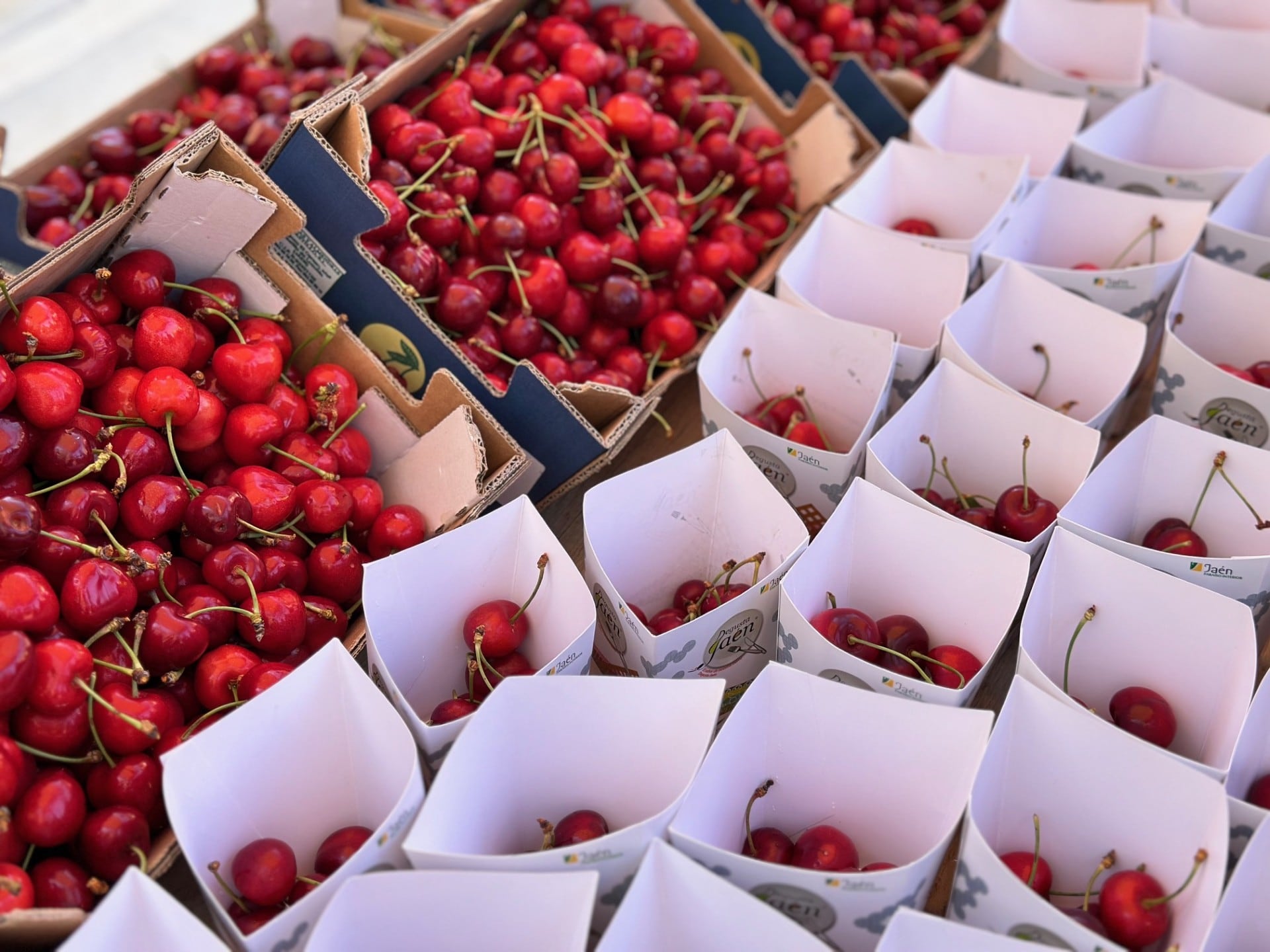Muestra de la cereza.