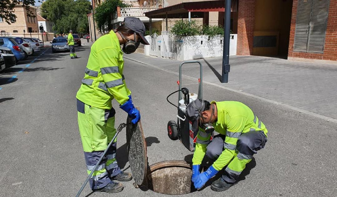 Nueva campaña contra las plagas en el municipio