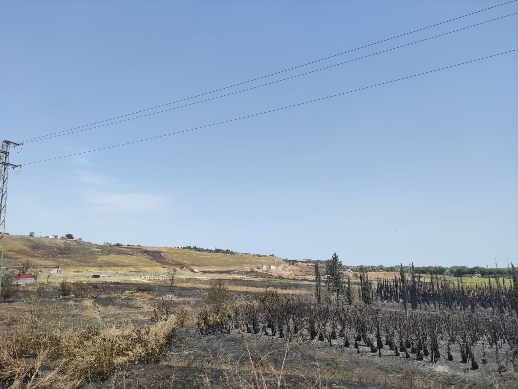 Una de las zonas afectadas por el incendio de Jerez