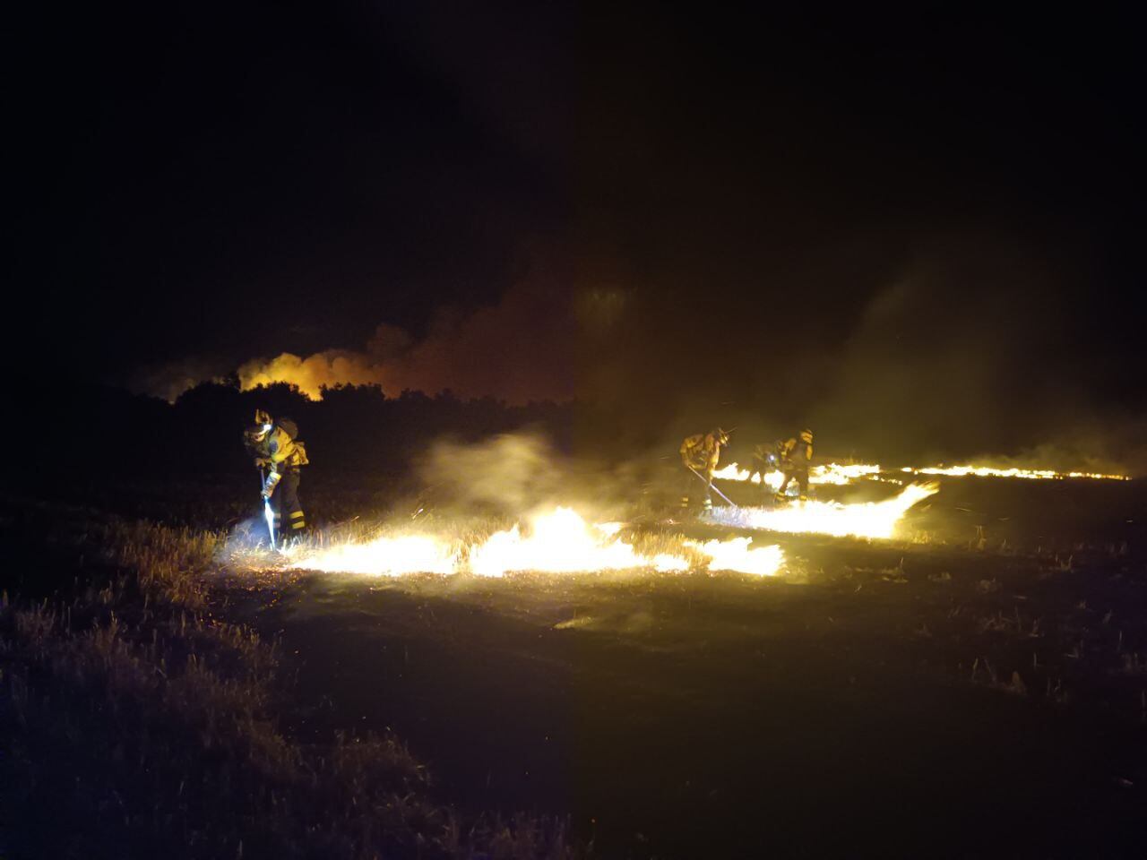 Imagen del incendio forestal de Calera y Chozas (Toledo)