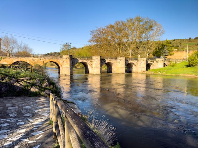 Río Pisuerga a su paso por Alar del Rey