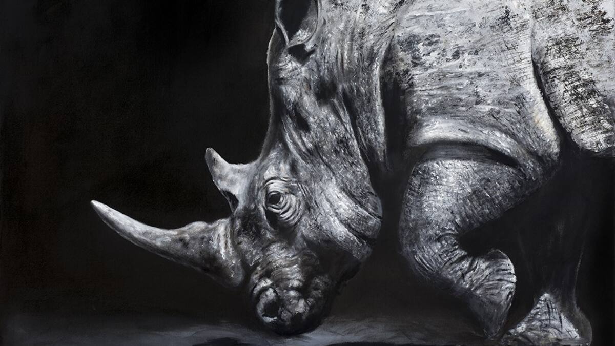 L35 Architects y la exposición de Guiomar Álvarez de Toledo