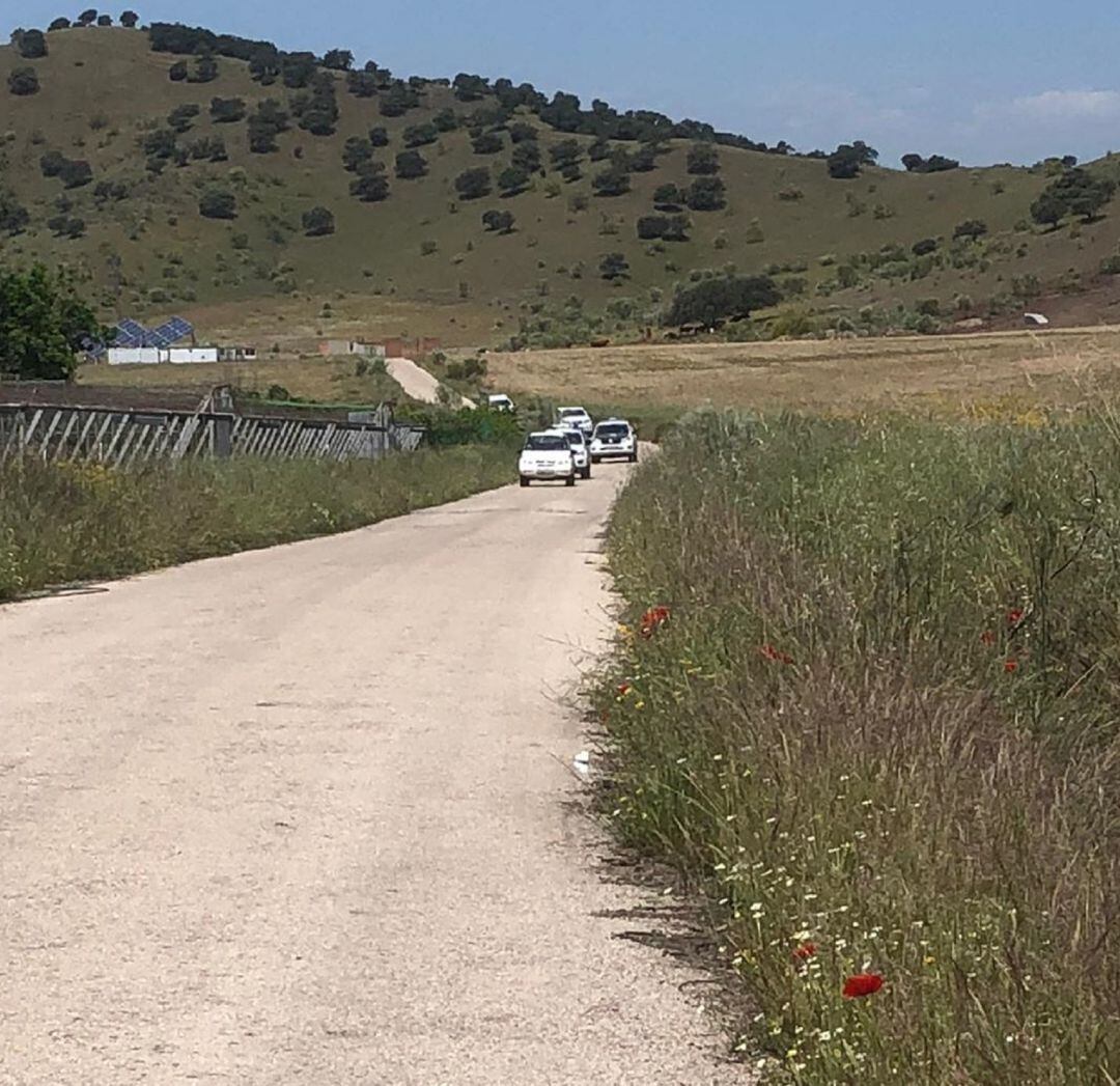 Patrullas que forman parte del dispositivo que investiga la muerte del lince ibérico en Linares