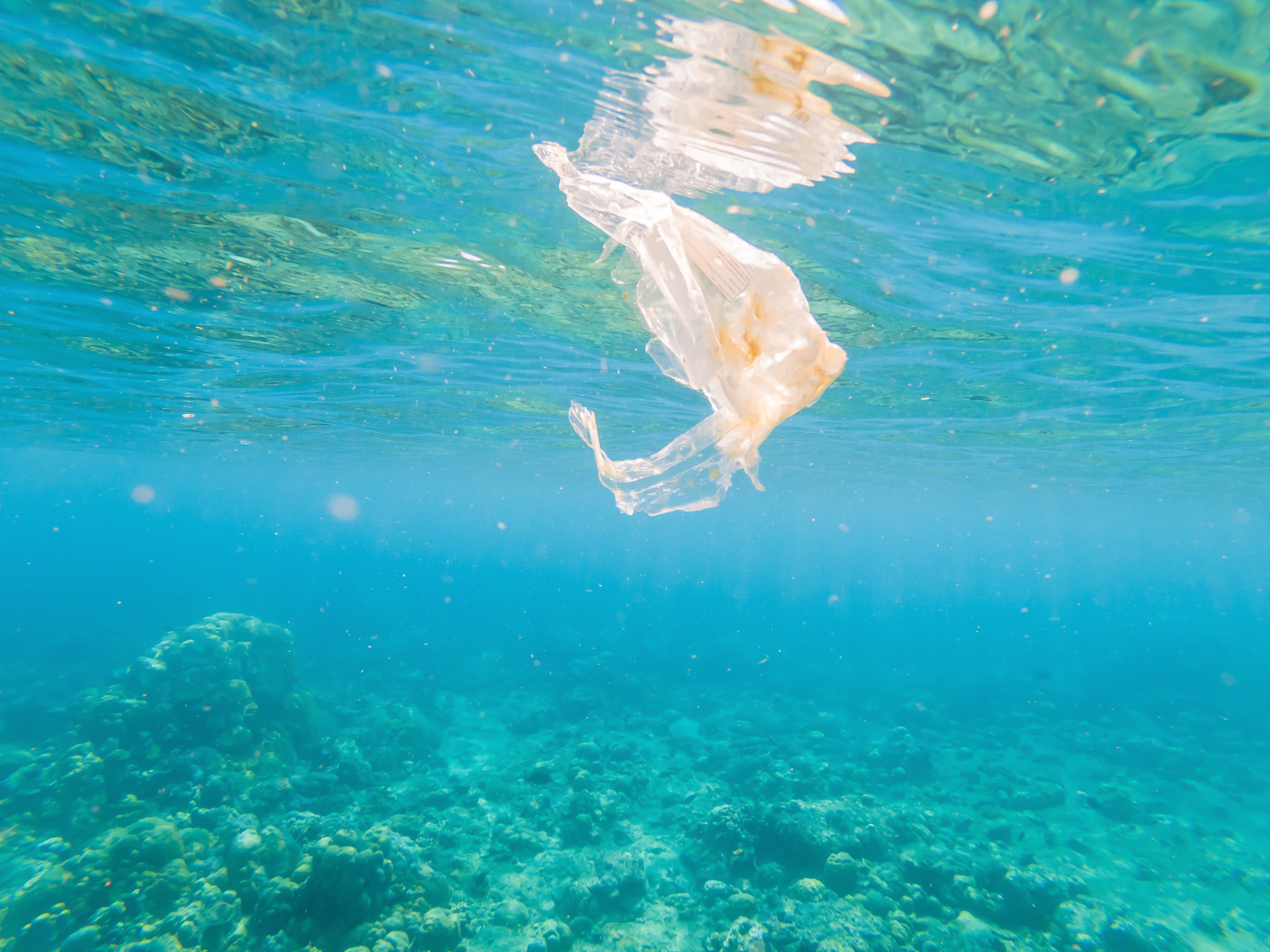 En Canarias hay 434 puntos de vertidos de agua residual al mar, 234 de ellos están en el entorno de las ciudades, superando con creces a los vertidos generados en áreas turísticas o industriales.