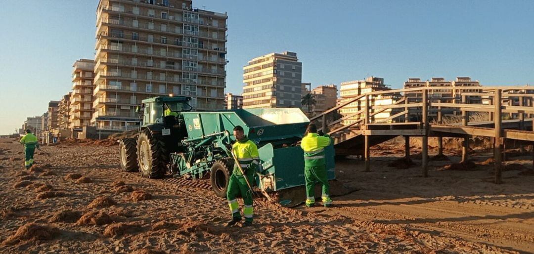 Operarios del ayuntamiento limpiando los daños del temporal