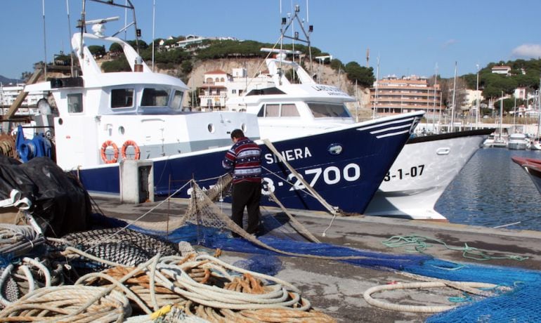 Les barques d'arrossegament estaran aturades un mes per la veda.