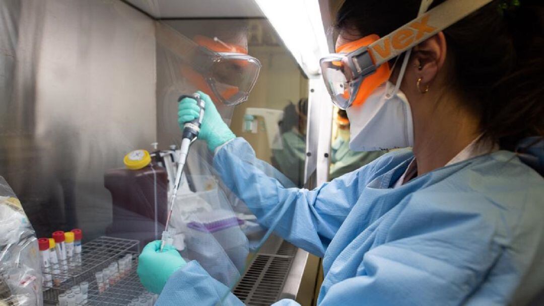 Los positivos se han disparado en Euskadi