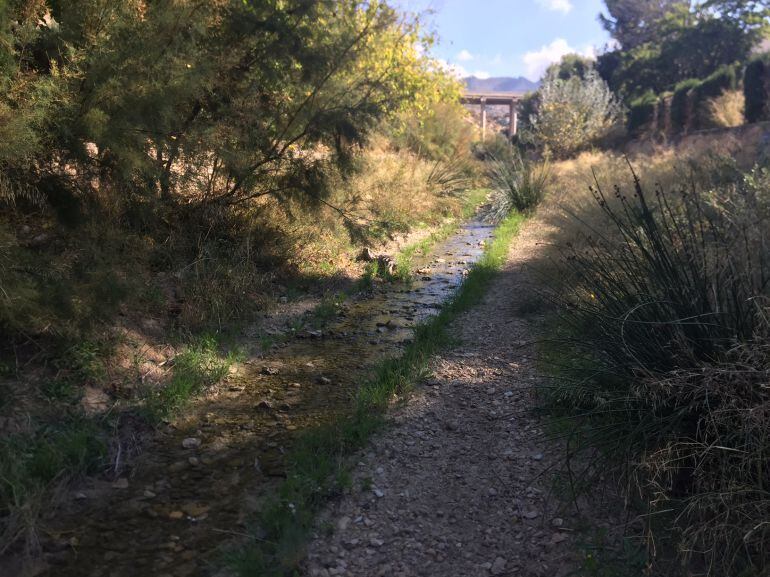 Zona de la rabla de Puça, Petrer