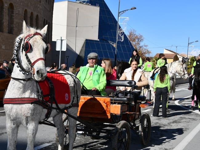 Desfile y bendición animales San Antón Villena