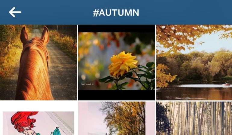 Fotos otoñales agrupadas bajo un ‘hashtag’ en Instagram