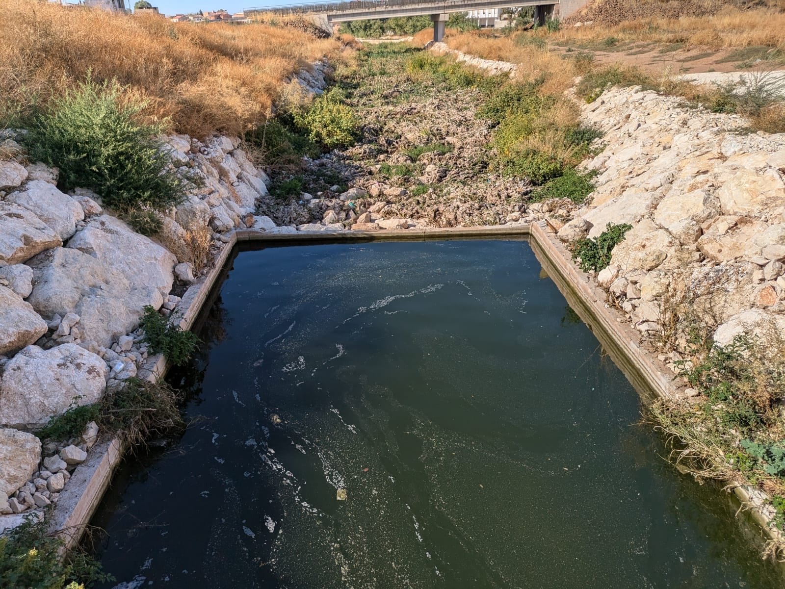 Arroyo Periquito Melchor en Linares