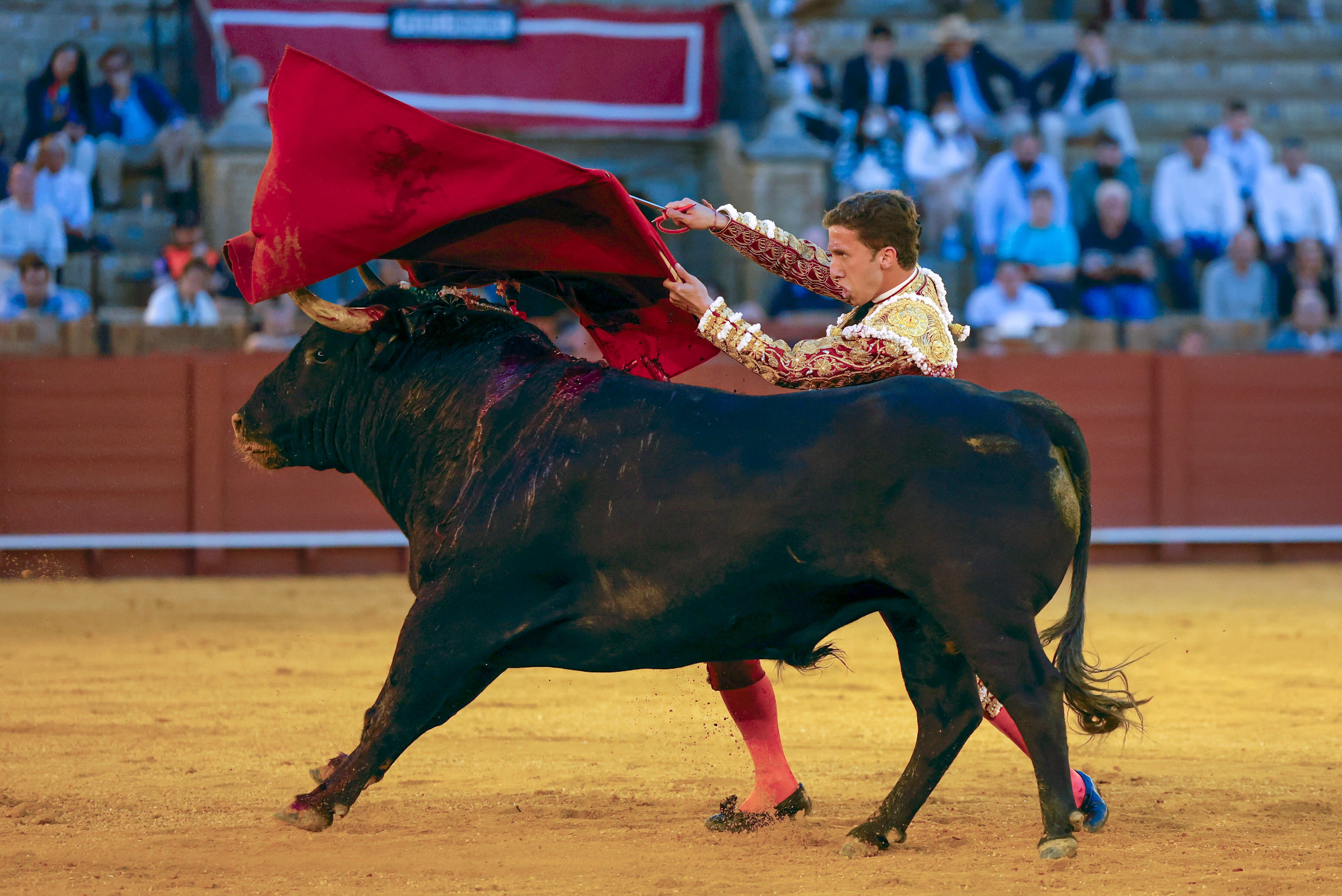 SEVILLA, 07/04/2024.- El diestro Juan García &#039;Calerito&#039; da un pase con la muleta al segundo de los de su lote, durante la corrida celebrada este domingo en la plaza de toros de La Maestranza, en Sevilla. EFE/Julio Muñoz
