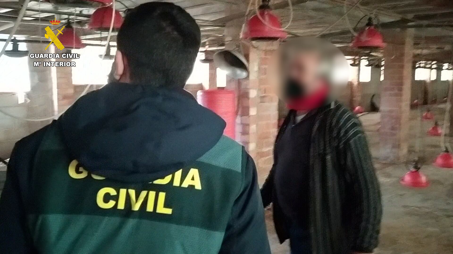 Operació de la Guàrdia Civil a Pinet