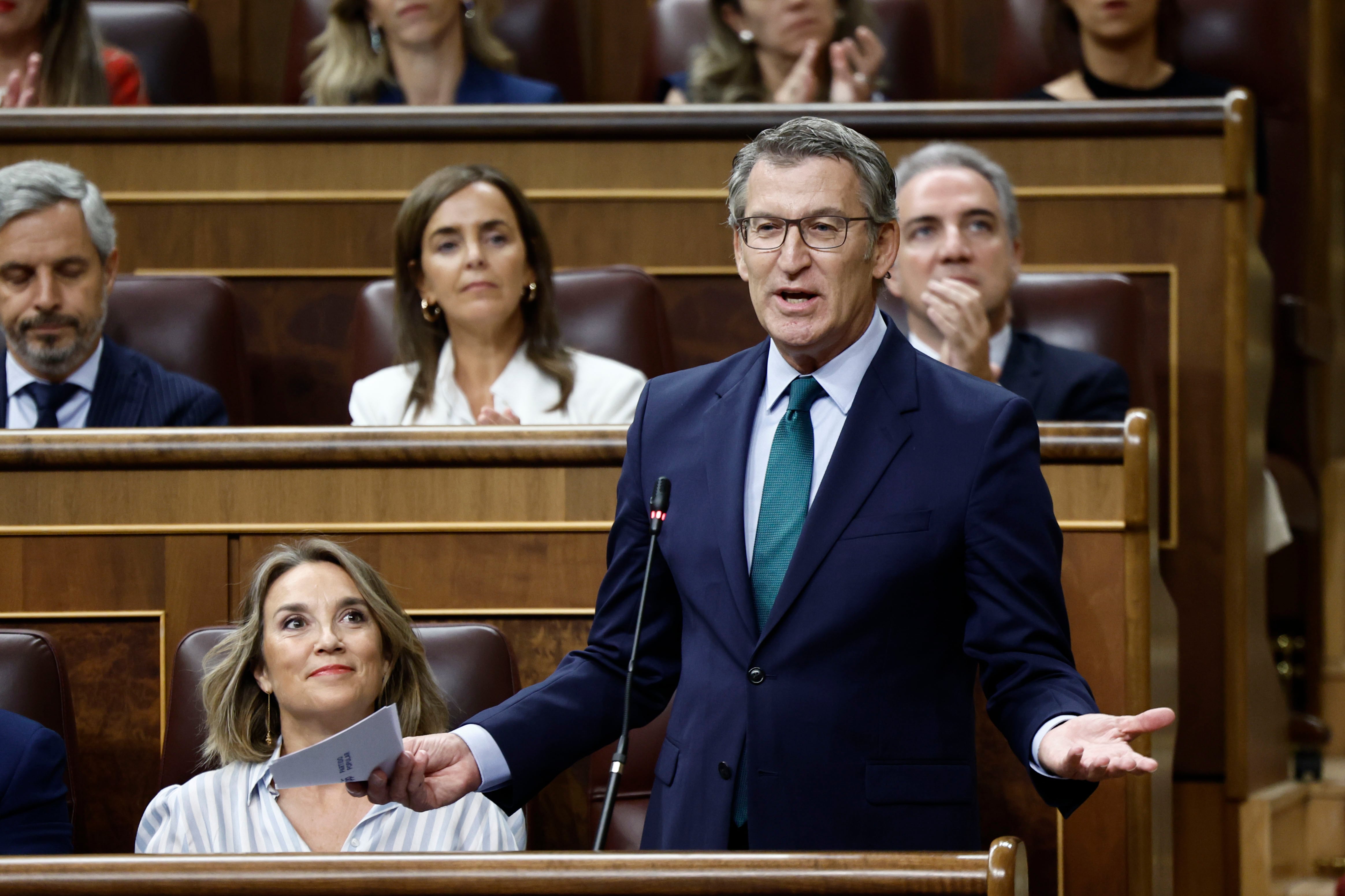 El presidente del PP, Alberto Núñez Feijóo, interviene en la sesión de control al Gobierno en el Congreso.