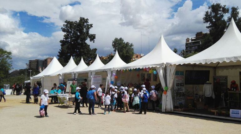 Primavera Educativa